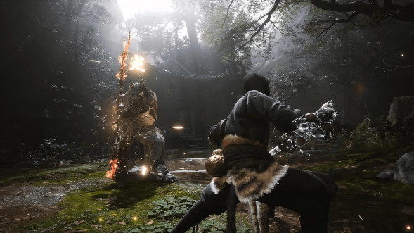 Игра Black Myth: Wukong Deluxe Edition [PS5, русские субтитры] в Новосибирске