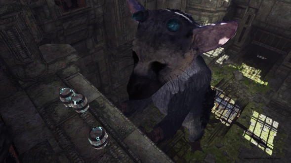 The Last Guardian: Последний хранитель [PS4, русские субтитры] в Новосибирске