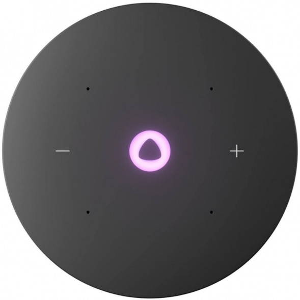 Умная колонка Яндекс Станция Мини 3 Про с Алисой с Zigbee, серый в Новосибирске