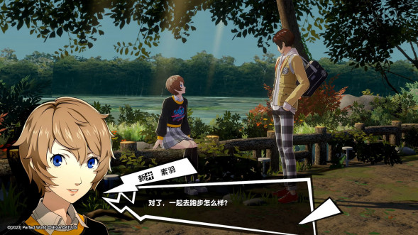 Persona 5 Royal [Nintendo Switch, английская версия] в Новосибирске