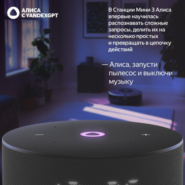 Умная колонка Яндекс Станция Мини 3 c Алисой на YandexGPT, чёрная в Новосибирске