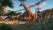 Игра Planet Zoo: Console Edition [PS5, английская версия] в Новосибирске