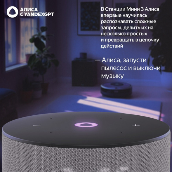 Умная колонка Яндекс Станция Мини 3 c Алисой на YandexGPT, серая в Новосибирске