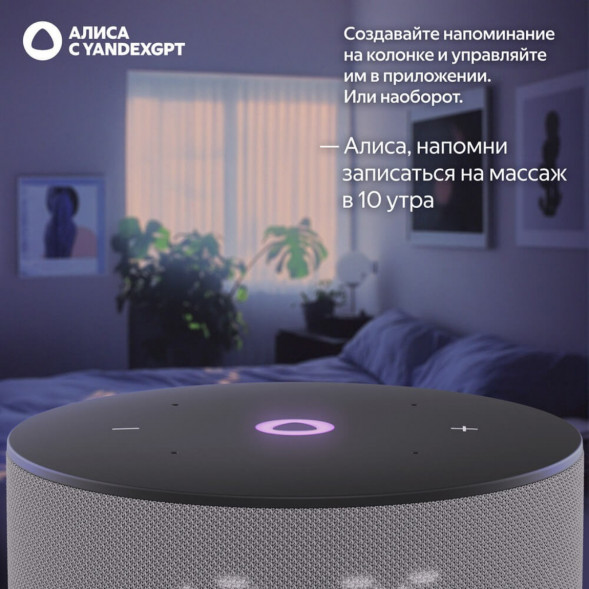 Умная колонка Яндекс Станция Мини 3 c Алисой на YandexGPT, серая в Новосибирске