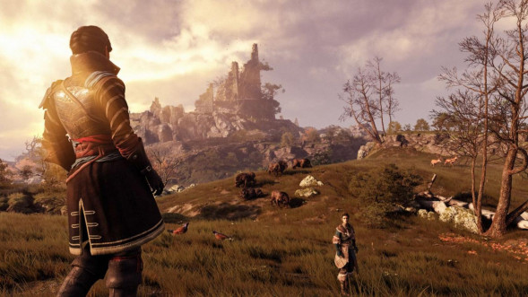 Игра GreedFall [PS4, русские субтитры] в Новосибирске