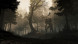 Игра GreedFall [PS4, русские субтитры] в Новосибирске
