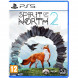Игра Spirit of the North 2 [PS5, русские субтитры] в Новосибирске