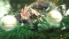 Игра Monster Hunter Generations Ultimate [Nintendo Switch, английская версия] в Новосибирске