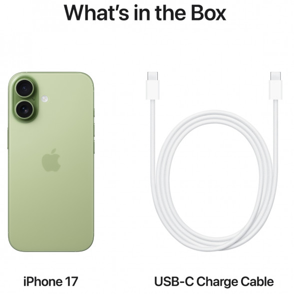 Смартфон Apple iPhone 17 256GB eSim, Sage в Новосибирске