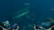 Игра Subnautica: Below Zero [PS5, русские субтитры] в Новосибирске