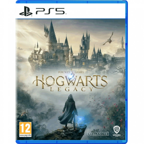 Игра Hogwarts Legacy Standard Edition для PlayStation 5 в Новосибирске