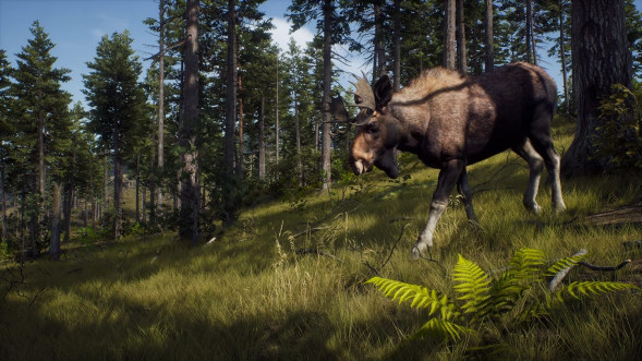 Игра Way of the Hunter [PS5, русские субтитры] в Новосибирске