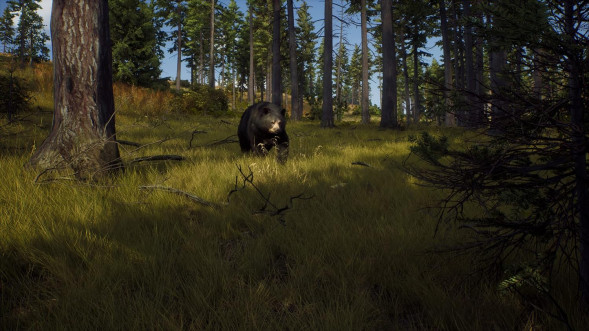 Игра Way of the Hunter [PS5, русские субтитры] в Новосибирске