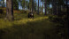 Игра Way of the Hunter [PS5, русские субтитры] в Новосибирске