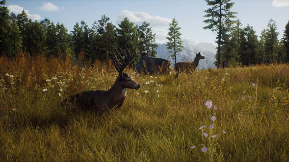 Игра Way of the Hunter [PS5, русские субтитры] в Новосибирске
