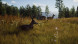 Игра Way of the Hunter [PS5, русские субтитры] в Новосибирске