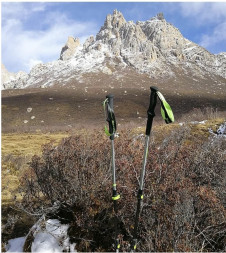 Треккинговая палка Naturehike 135 см, 1шт., серый/зеленый