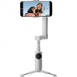 Стабилизатор Insta360 Flow Creator Kit, Gray