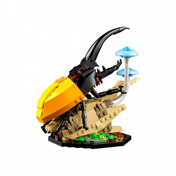 Конструктор LEGO Ideas 21342 Коллекция насекомых в Новосибирске