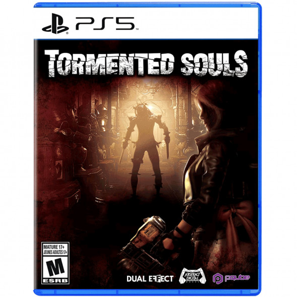 Игра Tormented Souls [PS5, русские субтитры] в Новосибирске