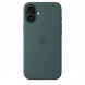 Чехол Apple для iPhone 16 Plus Silicone MagSafe,  Lake Green (MYYH3ZM/A) в Новосибирске