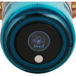 Пылесос Dyson V15 Detect Absolute SV47, Gold (447000-01)