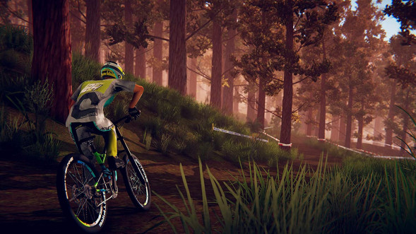 Игра Descenders [Nintendo Switch, английская версия] в Новосибирске