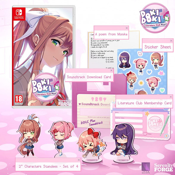 Игра Doki Doki Literature Club Plus! [Nintendo Switch, русские субтитры] в Новосибирске