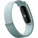 Фитнес-браслет Google Fitbit Air (Серо-голубой/Fog) в Новосибирске