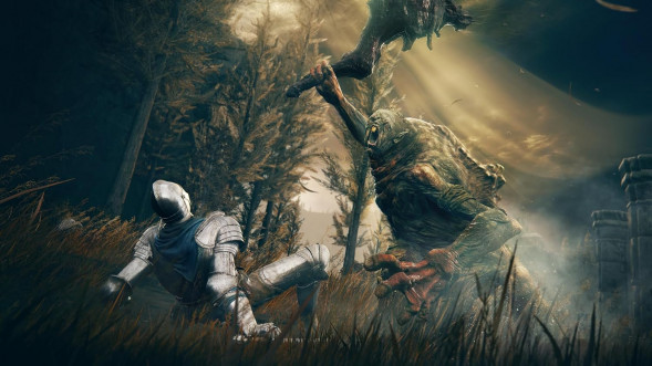 Игра Elden Ring: Shadow of the Erdtree Edition [PS5, русские субтитры] в Новосибирске