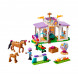Конструктор LEGO Friends 41746 Horse Training в Новосибирске