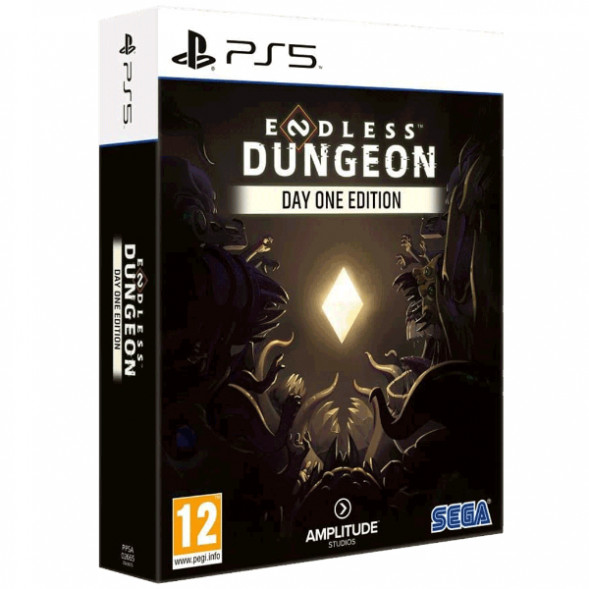 Игра Endless Dungeon. Day One Edition [PS5, английская версия] в Новосибирске