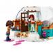 Конструктор LEGO Friends 41760 Праздничное приключение в иглу в Новосибирске