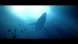 Игра Under The Waves [PS4, русские субтитры] в Новосибирске