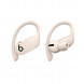 Беспроводные наушники Beats Powerbeats Pro, Ivory (MY5D2ZM/A) в Новосибирске