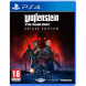 Игра Wolfenstein Youngblood Deluxe Edition [PS4, русская версия] в Новосибирске