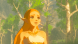 Legend of Zelda: Breath of the Wild [NSwitch, Русская версия] в Новосибирске