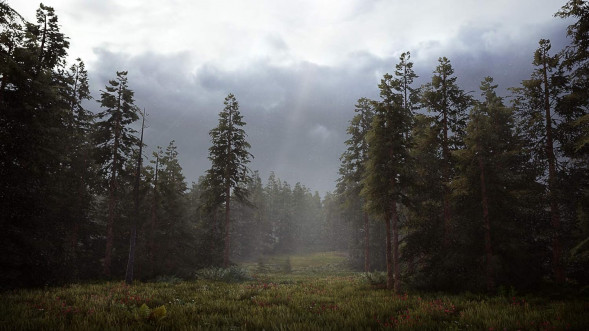 Игра Hunting Simulator 2 [PS5, английская версия] в Новосибирске