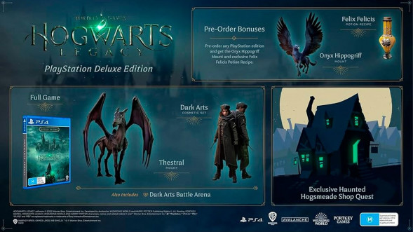 Игра Hogwarts Legacy. Deluxe Edition [PS4, русские субтитры] в Новосибирске